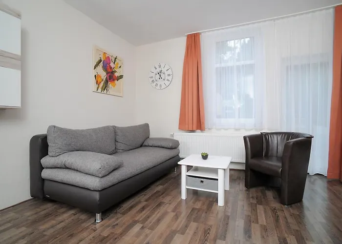 Le Petit Palais - Lejlighed Bad Suderode